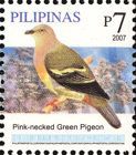 Pink-necked Green Pigeon (Treron vernans)