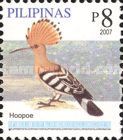Eurasian Hoopoe (Upupa epops)