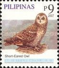 Short-eared Owl (Asio flammeus)