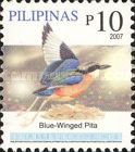 Blue-winged Pitta (Pitta moluccensis)