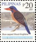 Blue-capped Wood-Kingfisher (Actenoides hombroni)