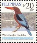 White-throated Kingfisher (Halcyon smyrnensis)