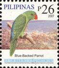 Blue-backed Parrot (Tanygnathus sumatranus)