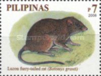 Luzon Furry-tailed Rat (Batomys granti)