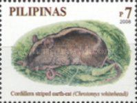 Cordillera Striped Earth-Rat (Chrotomys whiteheadi)