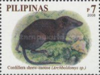 Cordillera Shrew-mouse (Archboldomys kalinga)