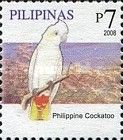Philippine Cockatoo (Cacatua haematuropygia)