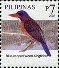 Blue-capped Wood Kingfisher (Actenoides hombroni)
