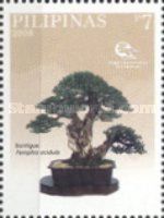 Bantigue (Pemphis acidula) (Ogi Uyehara)