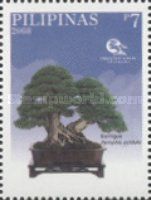 Bantigue (Pemphis acidula) (Bobby Gopiao)