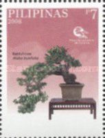 Bantulinaw (Maba buxifolia) (Teddy Lim)