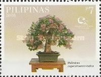 Melindres (Lagerstroemia indica) (Fely S. Gupit)