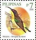 Metallic-winged Sunbird (Aethopyga pulcherrima)