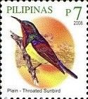 Plain-throated Sunbird (Anthreptes malacensis)