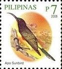Apo Sunbird (Aethopyga boltoni)