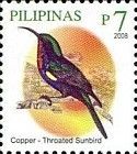 Copper-throated Sunbird (Leptocoma calcostetha)