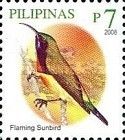 Flaming Sunbird (Aethopyga flagrans)