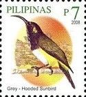 Grey-hooded Sunbird (Aethopyga primigenia)