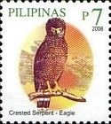 Phillipine Serpent-eagle (Spilornis holospilus)