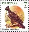 Philippine Hawk-eagle (Nisaetus philippensis)