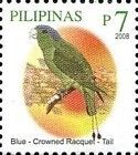 Blue-crowned Racquet-tail (Prioniturus discurus)