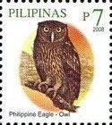 Philippine Eagle-owl (Bubo philippensis)
