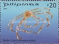 Spider Crab (Cyrtomaia ericina)