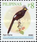 Apo Myna (Basilornis mirandus)