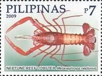 Neptune Reef Lobster (Metanephrops neptunus)