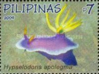 Nudibranch (Hypselodoris apolegma)