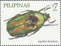 Beetle (Agestra luconica)