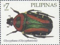 Green Chafer Beetle (Glycyphana sp.)