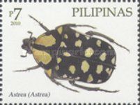 Beetle (Astreaus sp.)