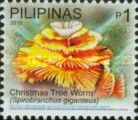 Christmas Tree Worm (Spirobranchus giganteus)