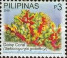 Cherry Blossom Coral (Siphonogorgia godeffroyi)