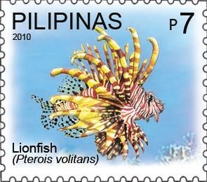 Red Lionfish (Pterois volitans)