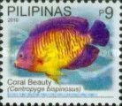 Coral Beauty (Centropyge bispinosus)