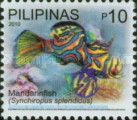 Mandarinfish (Synchiropus splendidus)