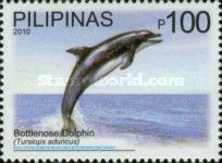 Common Bottlenose Dolphin (Tursiops truncatus)