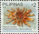 Slate Pencil Urchin (Heterocentrotus mammillatus)