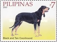 Black and Tan Coonhound (Canis lupus familiaris)
