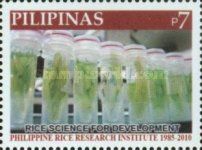 Samples in Test Tubes