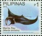 Giant Oceanic Manta Ray (Manta birostris)