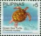 Green Sea Turtle (Chelonia mydas)