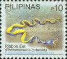 Ribbon Eel (Rhinomuraena quaesita)