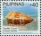 Textile Cone (Conus textile)
