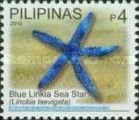 Blue Linkia Sea Star (Linckia laevigata)