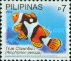 Orange Clownfish (Amphiprion percula)