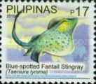 Blue-spotted Ribbontail Stingray (Taeniura lymma)