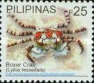 Boxer Crab (Lybia tessellata)